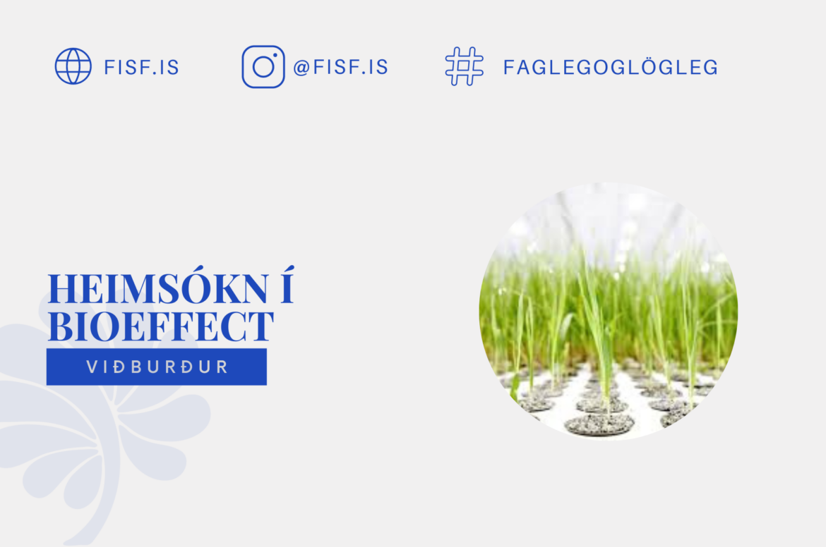 FÍSF BLOG BANNER (1900 × 1260 px) (20)